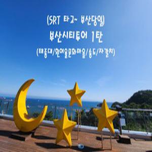 [SRT]부산시티투어 1탄(태종대/흰여울문화마을/송도/자갈치)_연합