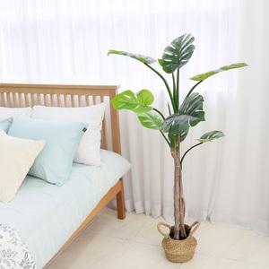 인조나무 조화 화분 내츄럴라인 몬스테라 150cm