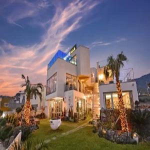 [제주/서귀포] 서귀포 다와 풀빌라 애견동반 펜션 (해수욕장/섬/풀빌라/오션뷰/바베큐장/주차장/공용수영장(실외)/애견/커플/가족/독채/복층/MT/워크샵/개별바베큐/온수수영장/일출/일몰)