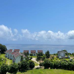 [후포항출발]울릉도 독도 2박3일 자유여행 대아리조트