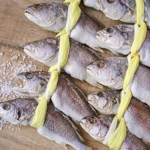 오동통 쫀득한 손질 등갈민태(민어과) 굴비 5미 (마리당 150-170g내외)