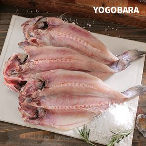 녹차품은 어부수산 여수 반건조 통민어 할복민어 손질생선 10마리