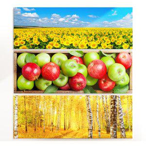 [더아트컴퍼니] 부자되는 사과그림 금전 재물운 해바라기 자작나무 와이드 액자 모음전 행운 금전운 재...