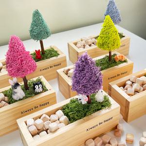 스칸디아모스 공기정화식물 편백칩 율마정원만들기 DIY