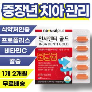 이빨 흔들림 잇몸 통증 붓기 피 날때 치아 임플란트 인플란트 후 관리 영양제 덴티 건강 인몸 입몸 내려앉