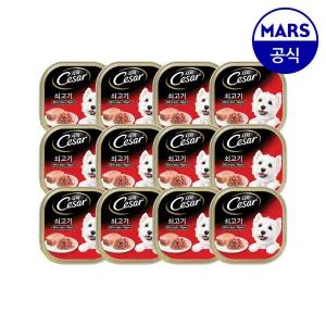 시저 캔 쇠고기 100g x12개