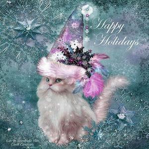 [RGKO1QP1]고양이 파티 3D 사각 보석십자수 30x30 DIY키트