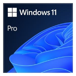 마이크로소프트 Windows 11 Pro 처음사용자용(FPP) 영문
