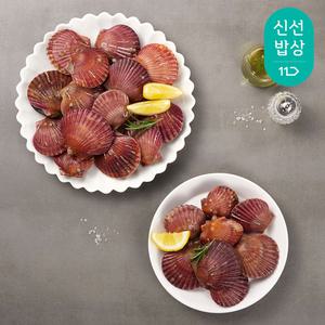 [품질보장] 국내산 통영 제철 홍가리비 3kg (60미 내외) 당일 채취 후 발송