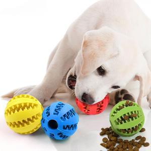 [BZFF11K6_51CM]노즈워크 공 장난감 분리불안 볼LUAZ-DG3