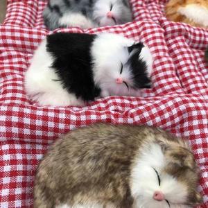 잠자는 고양트렌이 리얼펫 인테리어 소품 활성탄