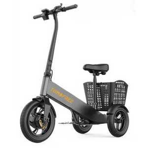 세발 전기자전거 배달 스포츠 출퇴근 노인 여성 성인