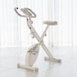 로베라 실내 자전거 접이식 헬스 사이클 시크릿 바이크 운동 기구 일반형