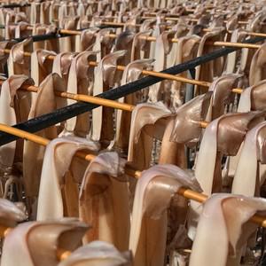 촉촉 꾸덕한 반건조 오징어 5미 350g내외  소스 3종 제공)