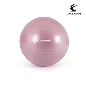 아이워너 안티버스트 짐볼 55cm 와일드 핑크-WFHN20F