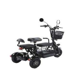 48V 세발 전기자전거 듀얼 모토벨로 애견 3인승