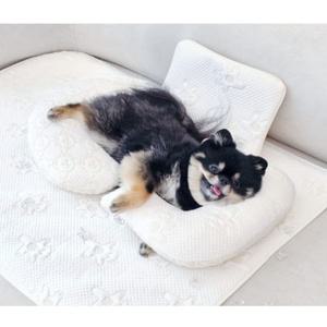 강아지베개 유모차쿠션 여름 듀라론 반달M