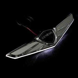 [QNTU49BX_57]LED 그랜저엠블럼 엠블럼 액세서리 EQ900