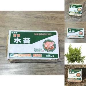 천연건조압축 수태 (150g) 토피어리 난재배용/토피어리만들기/마른이끼/수태이끼/건조이끼/화분이끼/물이끼