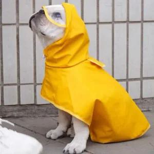 [골드스마일]강아지 우비 레인코트 비옷 우의 방수 산책 외출