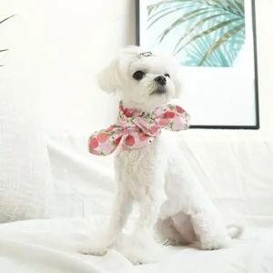 [콩심팥심]복숭아 트로피칼 강아지 애견 머플러 스카프 (S) X2개