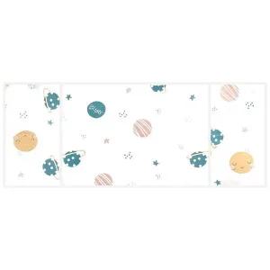 [하프클럽/알티피아]SFr PEVA 전자레인지 덮개 행성