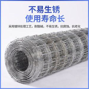 노루망 철사망 휀스 고라니망 PE망 구멍 두께2 100m 3 플라스틱 와이어 메쉬 50m