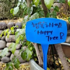 [골드스마일]식물 이름표 화분용 대형 팻말 화단 장식 50cm 꺾임형