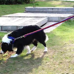 [콩심팥심]트위스트 로프 대형견 목줄 리드줄 세트 1.25m 애견 목줄