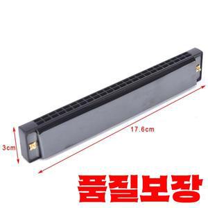 초보자 성인 전문가 친구 선물용 다이아토닉 하모니카 케이스 포함 24홀 C키