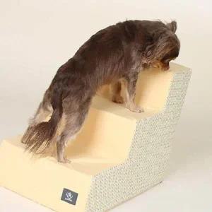 [골드스마일]강아지 반려동물 3단 스텝 계단 옐로우 스폰지 안전 발판