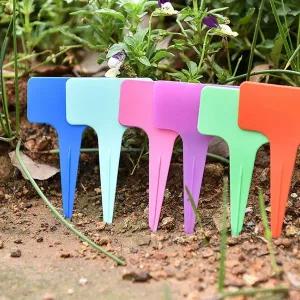 화분용 이름표 라벨 팻말 정원 정리용 네임텍 10p 랜덤 색상