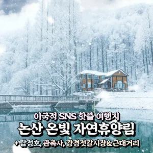 [충남] 논산 핫플 온빛 자연휴양림+탑정호 출렁다리+관촉사+강경젓갈시장/근대거리 당일여행 / 서울경기出