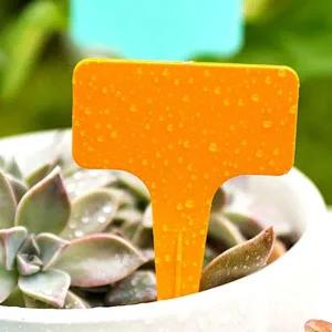 [콩심팥심]식물 이름표 T자형 다육식물 화단 표시 스티커 오렌지색