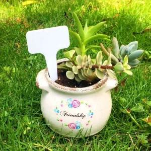 [콩심팥심]식물 이름표 T자형 분류 화분 스티커 다육이 화단 표시용 화이트