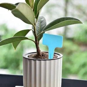 [콩심팥심]식물 이름표 T자형 다육 화단용 스카이 화분 안내판