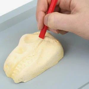 핑크풋 공룡화석 발굴키트 과학 어린이 장난감 ver.2