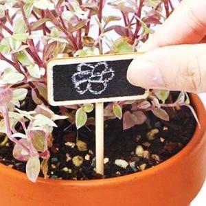 식물이름표 화분 다육이 미니 표찰 네임텍