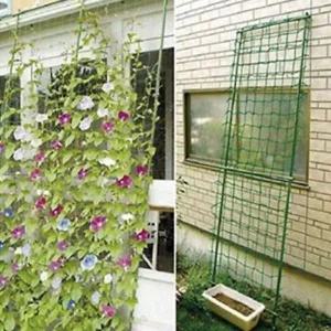 [콩심팥심]원예 식물 지지망 호박용 유인망 넝쿨 그물망