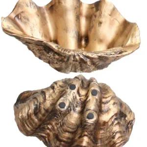 집들이디자인화분 선인장 거실 개성있는 특이한 예쁜화분