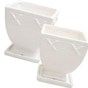 집들이세라믹화분 선인장 거실 화이트컬러 깔끔한 소형화분