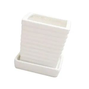 집들이세라믹화분 선인장 거실 돋보이는 깔끔한 화이트화분