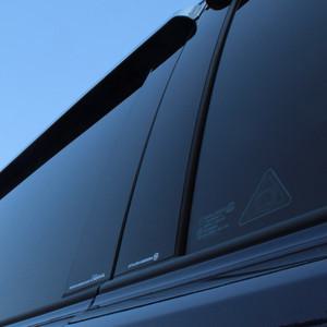 레이스텍 그랜드카니발 B필러 미러플레이트 / 기둥몰딩