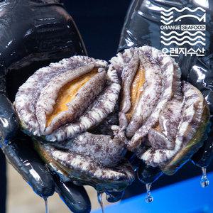 해남 전복 특대 1kg 7-8미부터 22-25미 완도 활전복 꼬마 선물세트