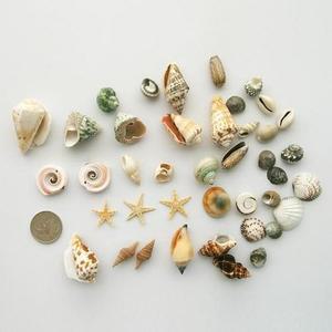 [마물샵] 만들기 조개 세트 DIY 비즈 공예 재료