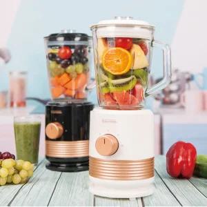 엔뚜마노 골든라벨 소형 믹서기 MJ-15re 2color