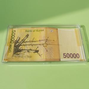 지폐 수집 케이스 5P 옛날 화폐 돈 외국 수표 보관함