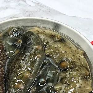 국내산 활해삼 500g