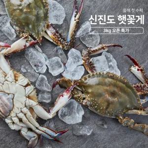 25년 신진도 제철 활 꽃게 3kg (10~15미) / 산지직송/ 빙장포장