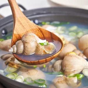 동해안 제철 활 백고동 백 골뱅이 1kg 중